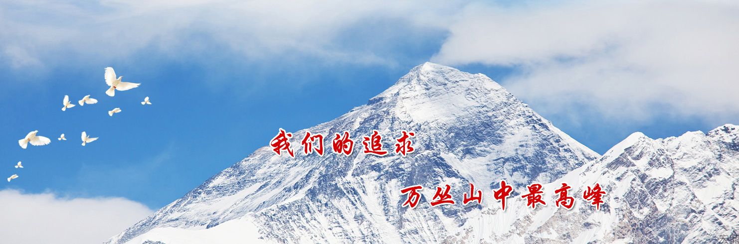 我们有专业的团队，一流的服务。